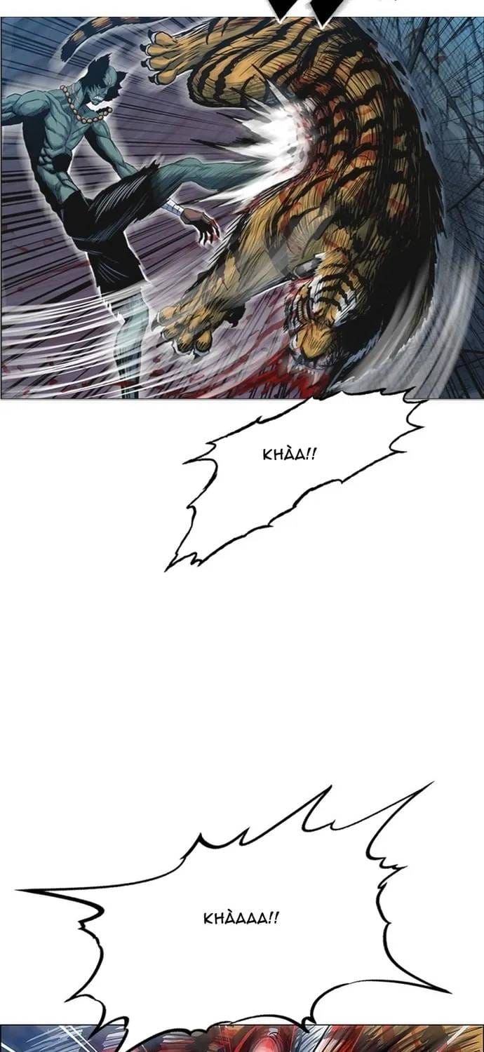 Anh Trai Tôi Là Hổ Chapter 144 - 24