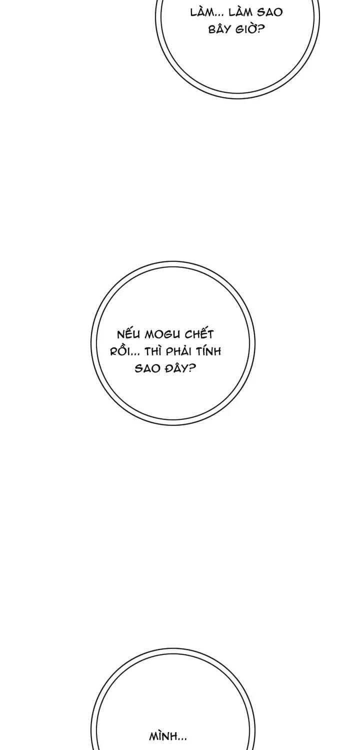 Anh Trai Tôi Là Hổ Chapter 144 - 40