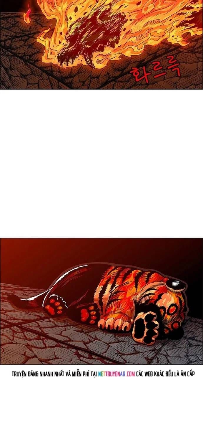 Anh Trai Tôi Là Hổ Chapter 144 - 5