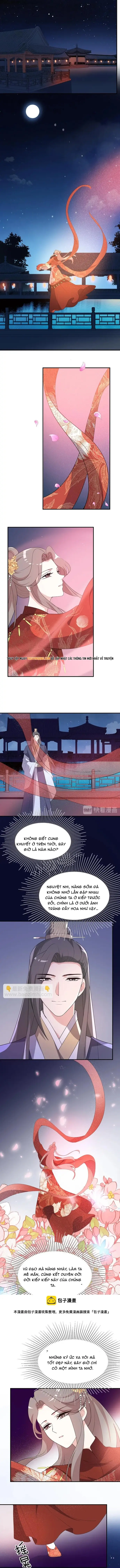 Trùng Sinh Chuyên Sủng Độc Phi Của Nhiếp Chính Vương Chapter 107 - 3