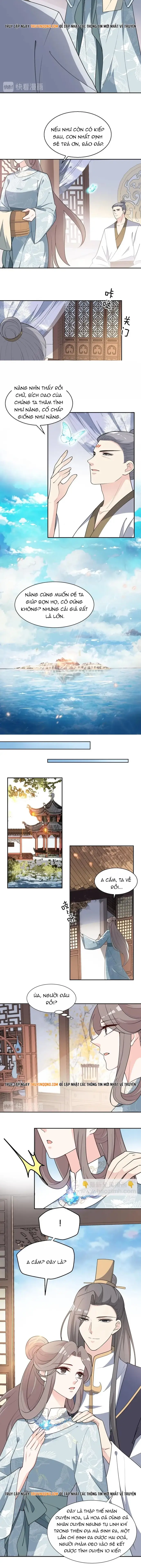 Trùng Sinh Chuyên Sủng Độc Phi Của Nhiếp Chính Vương Chapter 142 - 4