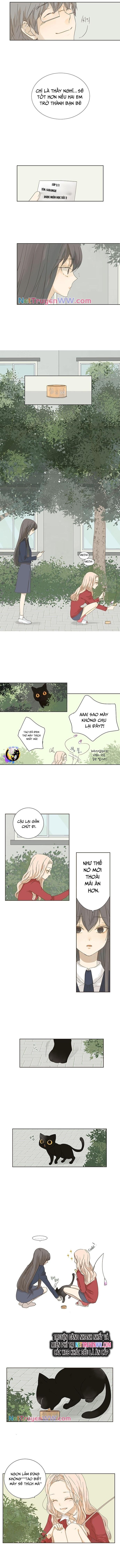 Cô Nàng Sắc Sảo Chapter 2 - 5