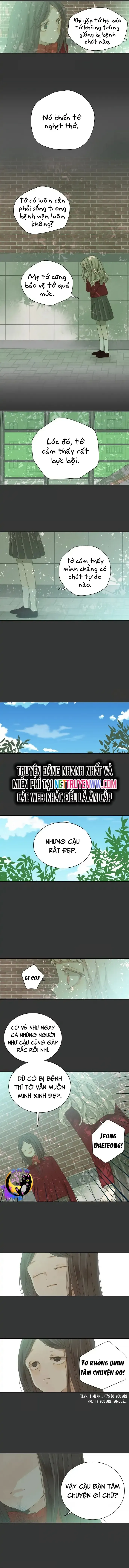 Cô Nàng Sắc Sảo Chapter 44 - 7