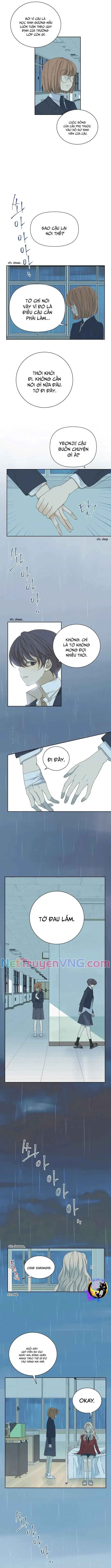 Cô Nàng Sắc Sảo Chapter 48 - 6