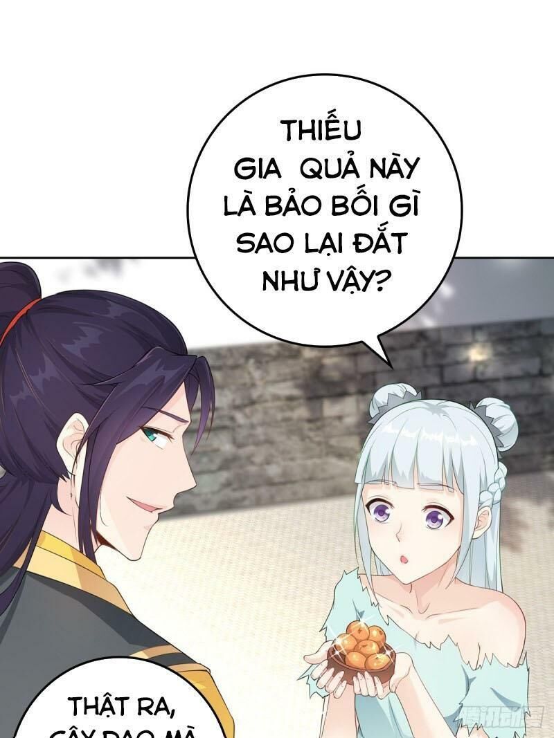 Người Ở Rể Bị Ép Thành Phản Diện Chapter 11 - 6