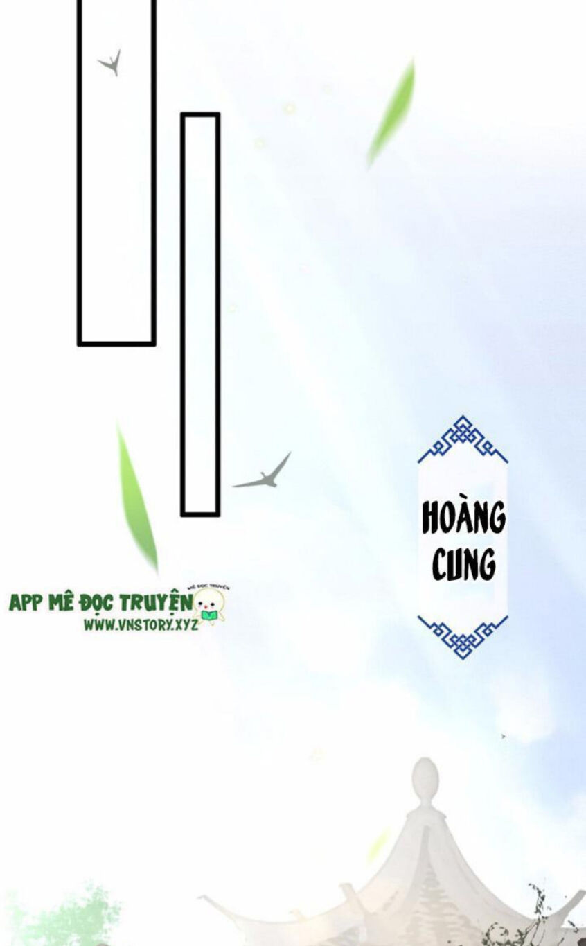 Phượng Hoàng Vu Phi Chapter 17 - 11