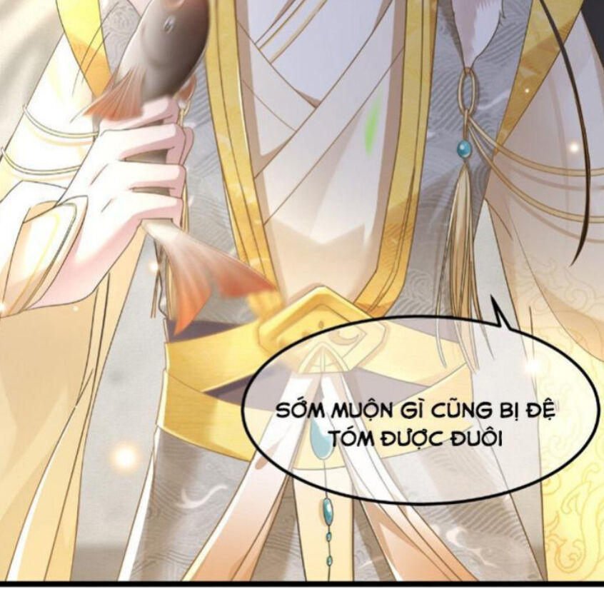 Phượng Hoàng Vu Phi Chapter 17 - 20