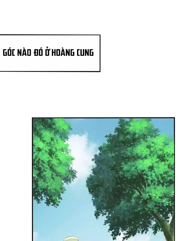 Trọng Sinh Đế Phi: Quyền Khuynh Thiên Hạ Chapter 2 - 17