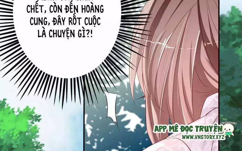 Trọng Sinh Đế Phi: Quyền Khuynh Thiên Hạ Chapter 2 - 20