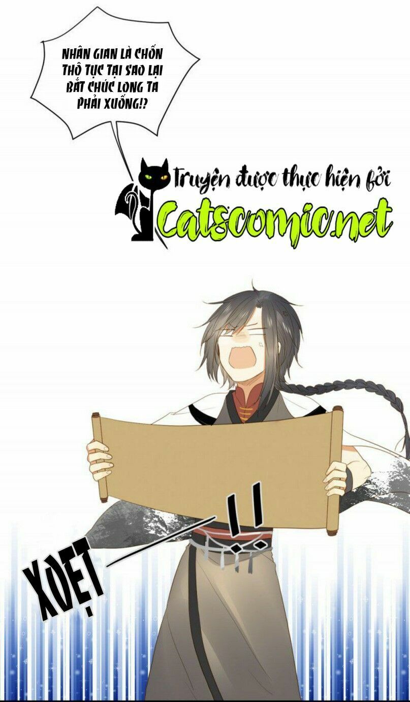 Sinh Hạ Long Chủng Chapter 1 - 8