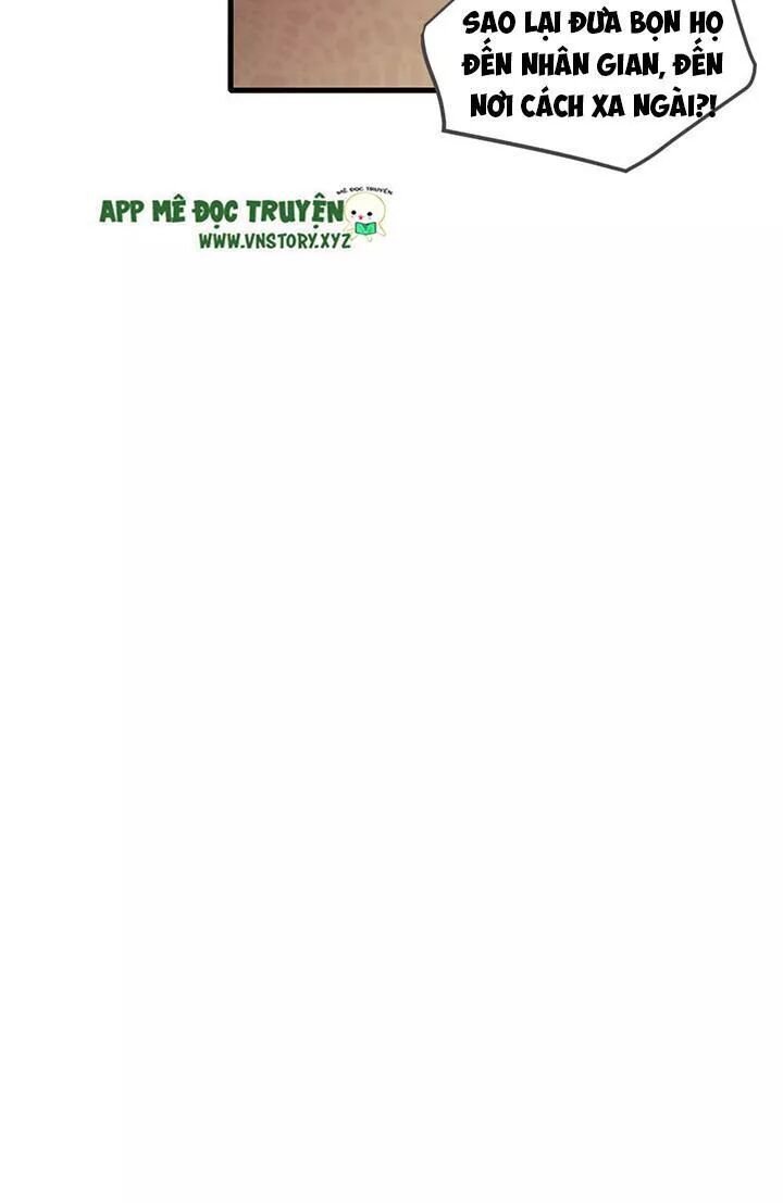 Sinh Hạ Long Chủng Chapter 126 - 16