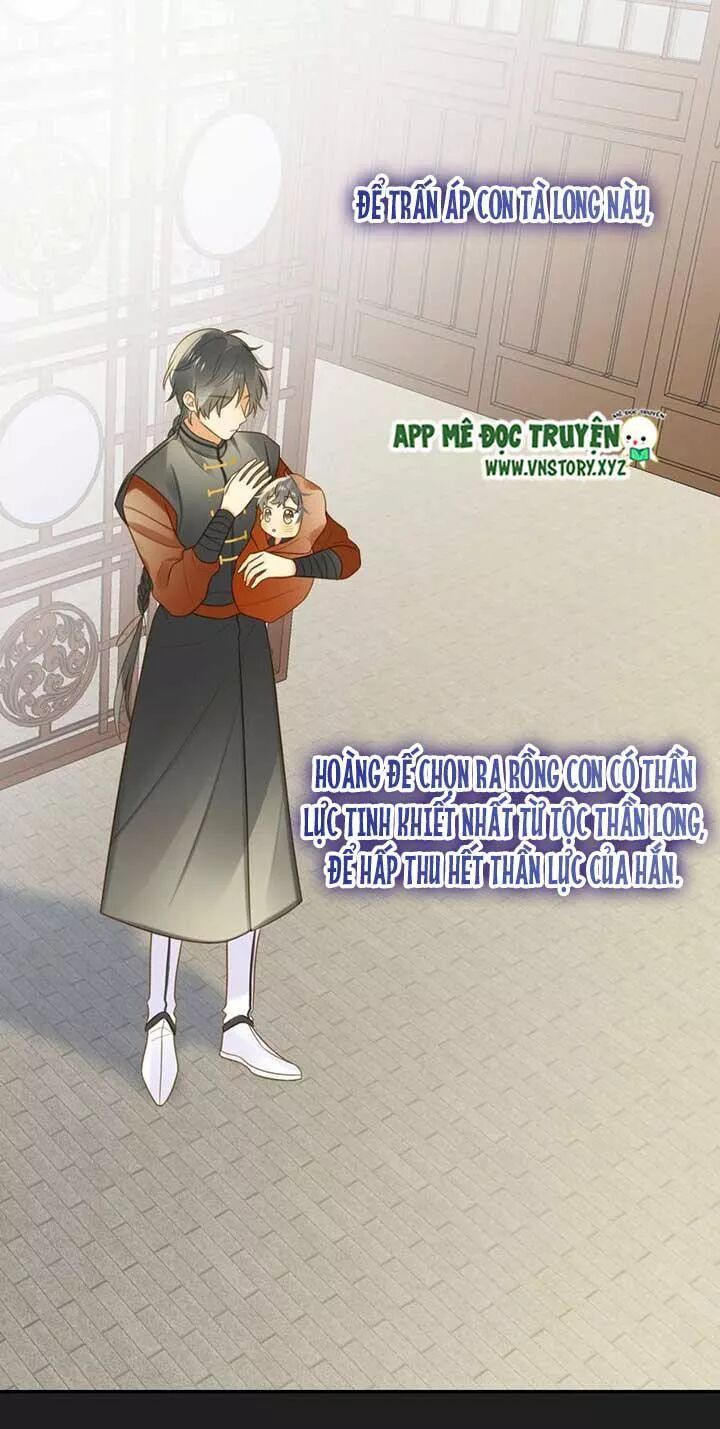 Sinh Hạ Long Chủng Chapter 141 - 5