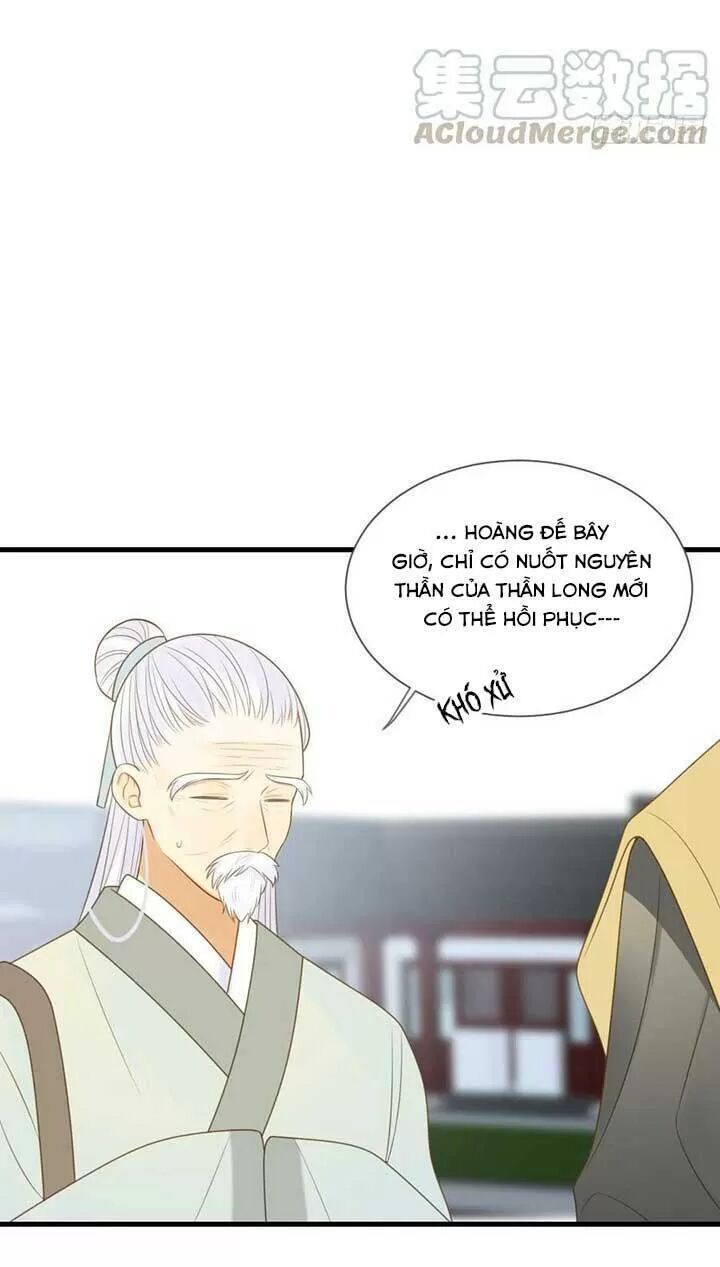 Sinh Hạ Long Chủng Chapter 147 - 7