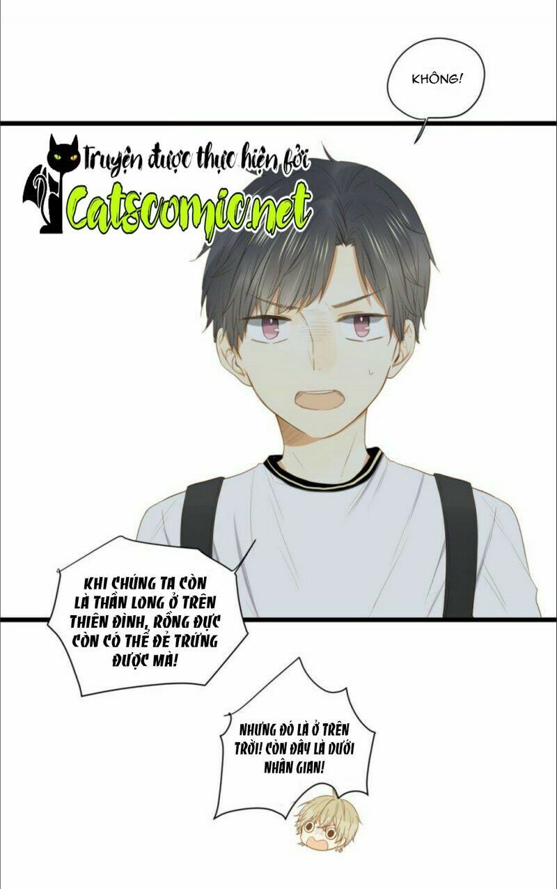 Sinh Hạ Long Chủng Chapter 2 - 10