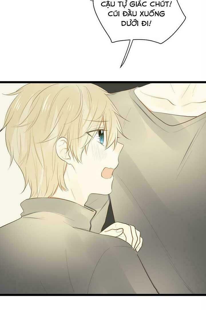 Sinh Hạ Long Chủng Chapter 39 - 20