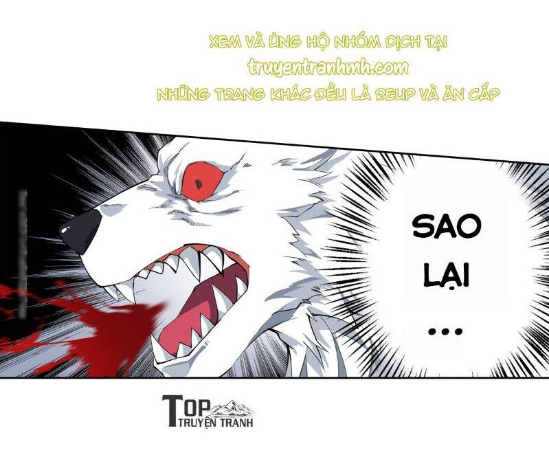 Sứ Đồ Vô Hạn Và 12 Chiến Cơ Chapter 41 - 12