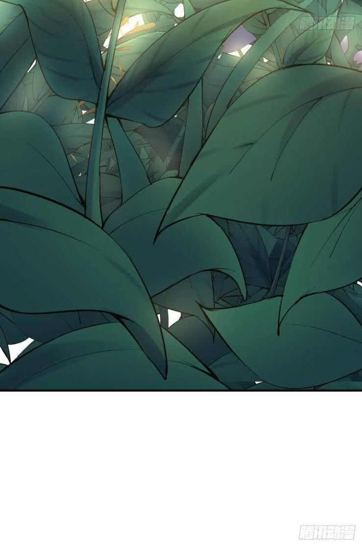 Hậu Cung Của Ta Dựa Vào Rút Thẻ Chapter 8 - 50