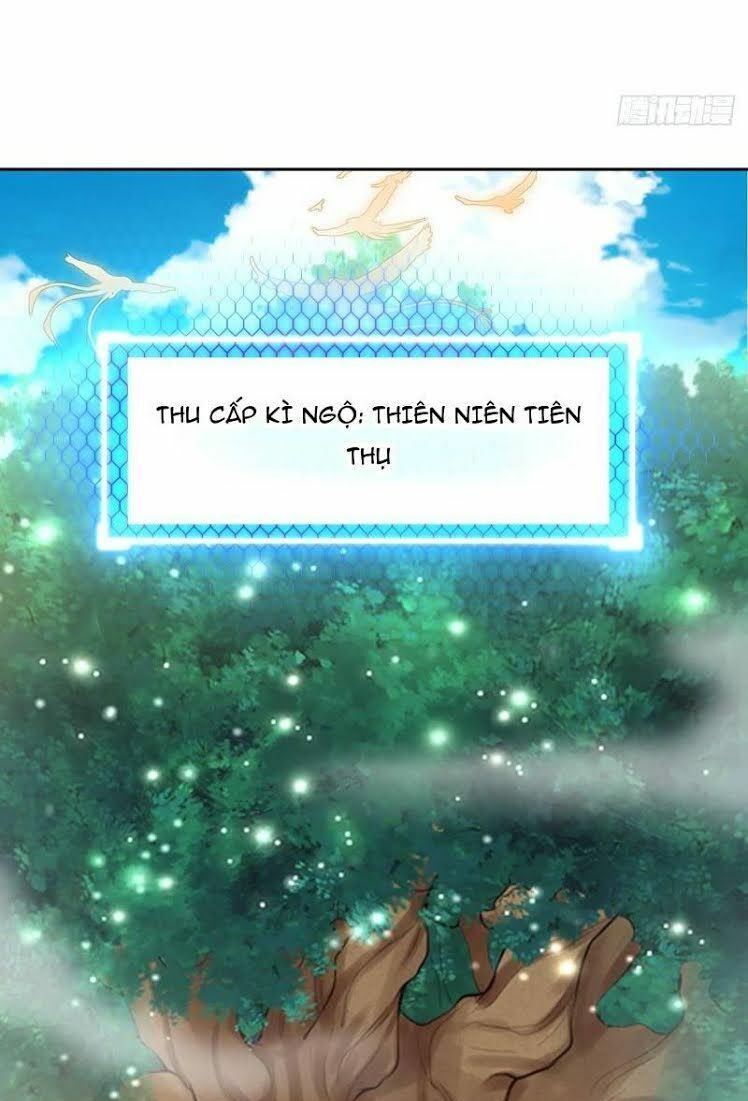 Hậu Cung Của Ta Dựa Vào Rút Thẻ Chapter 8 - 62