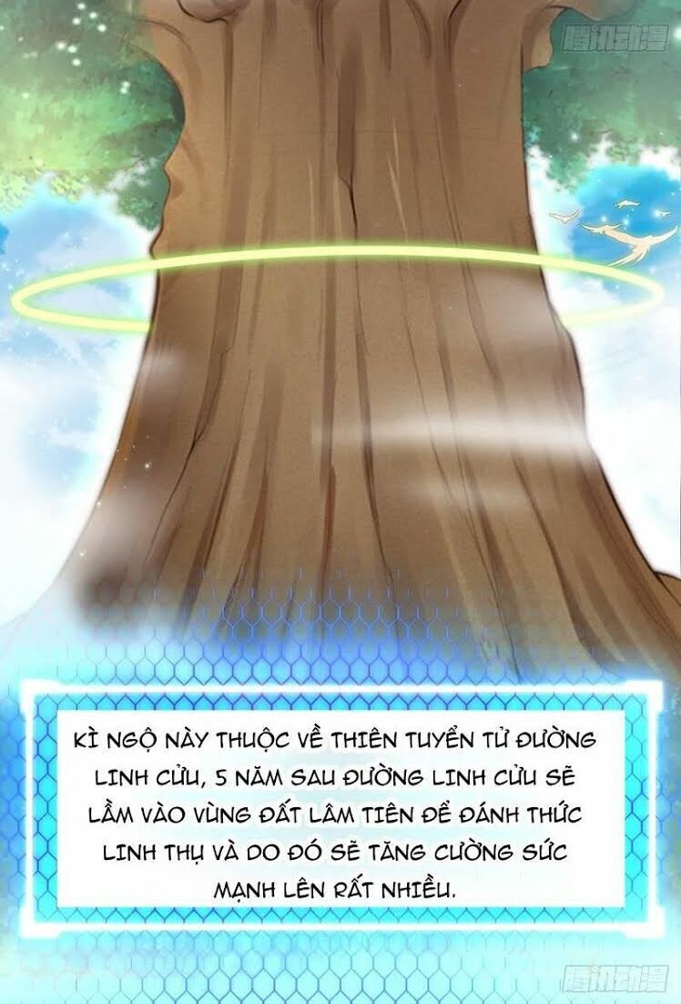 Hậu Cung Của Ta Dựa Vào Rút Thẻ Chapter 8 - 63