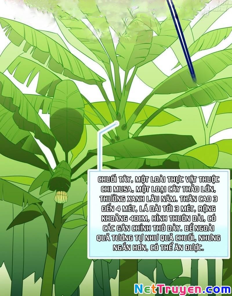 Sống Trên Hoang đảo Cùng Các Em Gái Chapter 8 - 2