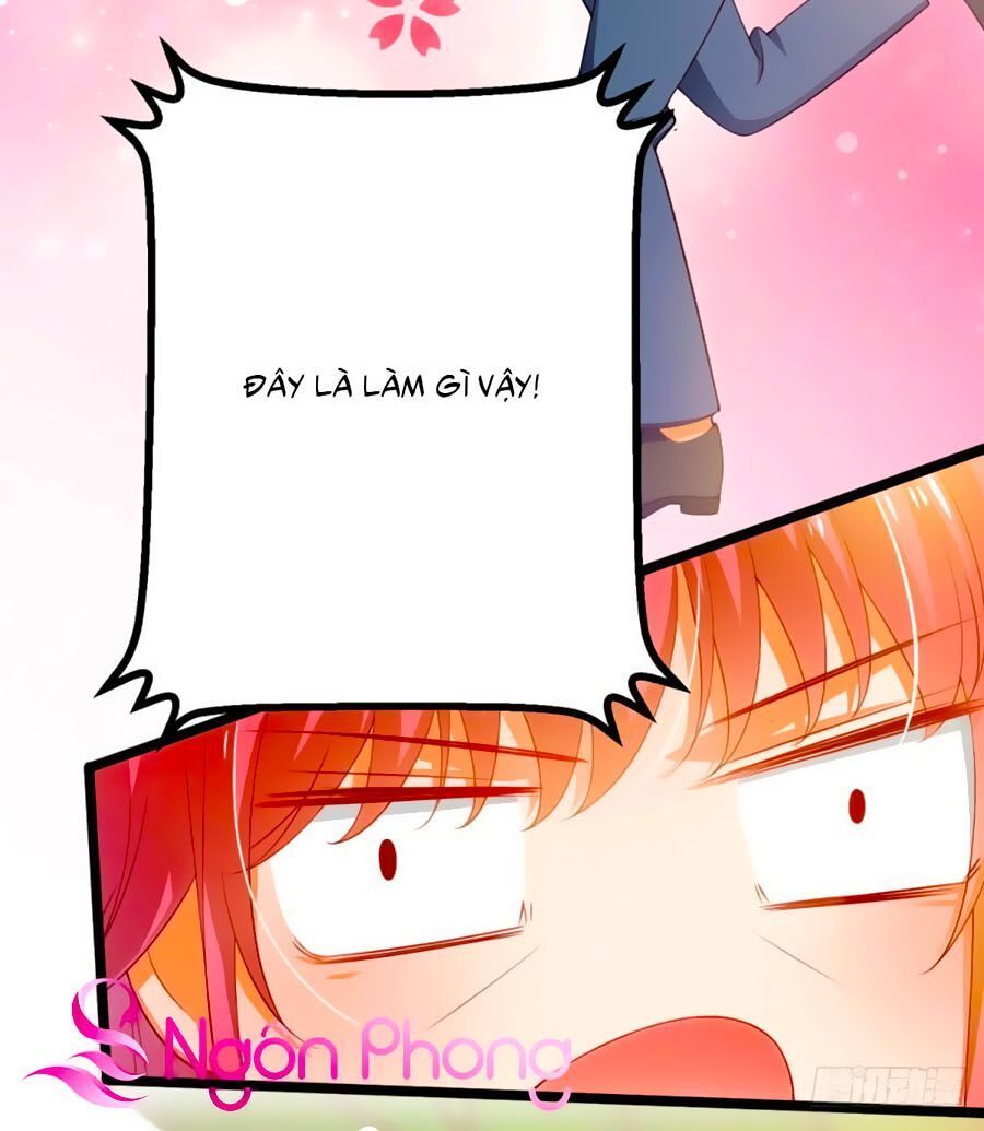 Nghìn Lẻ Một Đêm Với Tổng Tài Chapter 2 - 11