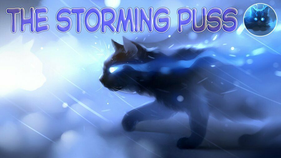 Cross And Crime Chapter 55 - 2