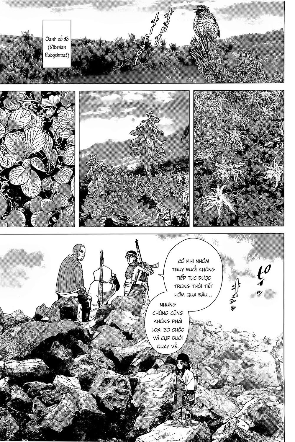 Cơn Sốt Vàng Sau Chiến Tranh Chapter 101 - 8