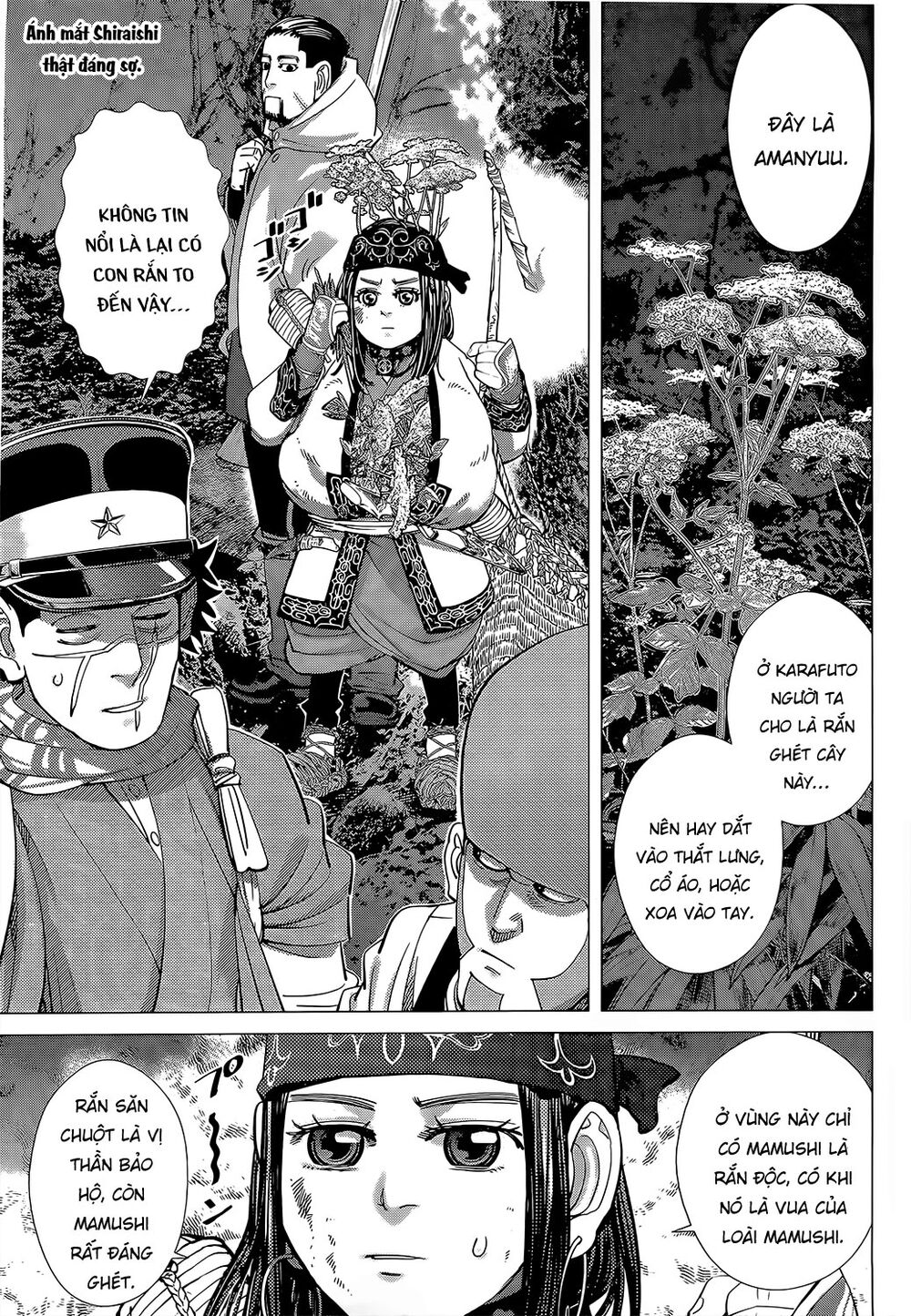 Cơn Sốt Vàng Sau Chiến Tranh Chapter 105 - 4