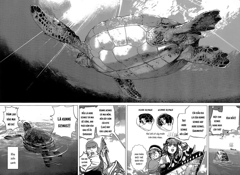 Cơn Sốt Vàng Sau Chiến Tranh Chapter 114 - 14