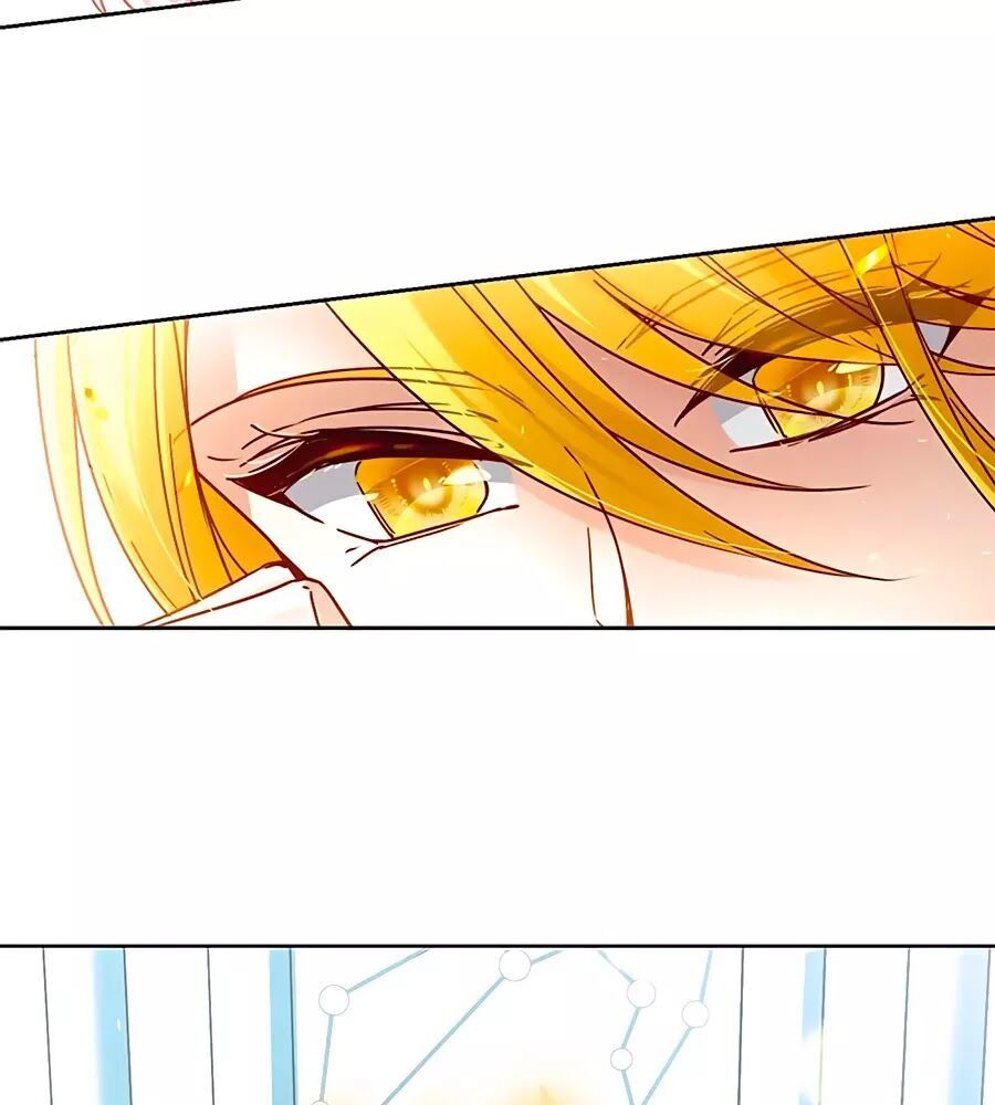 Tầm Trảo Tiền Thế Chi Lữ Chapter 210.3 - 11