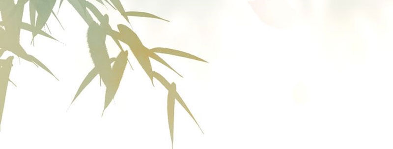 Nguyệt Trầm Ngâm Chapter 119 - 11