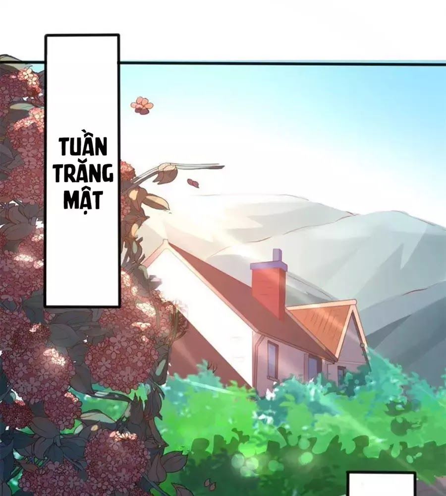 Bác Sĩ Sở Cũng Muốn Yêu Chapter 255 - 36