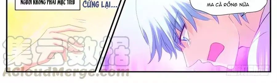 Hệ Thống Chế Tạo Nữ Thần Chapter 268 - 2