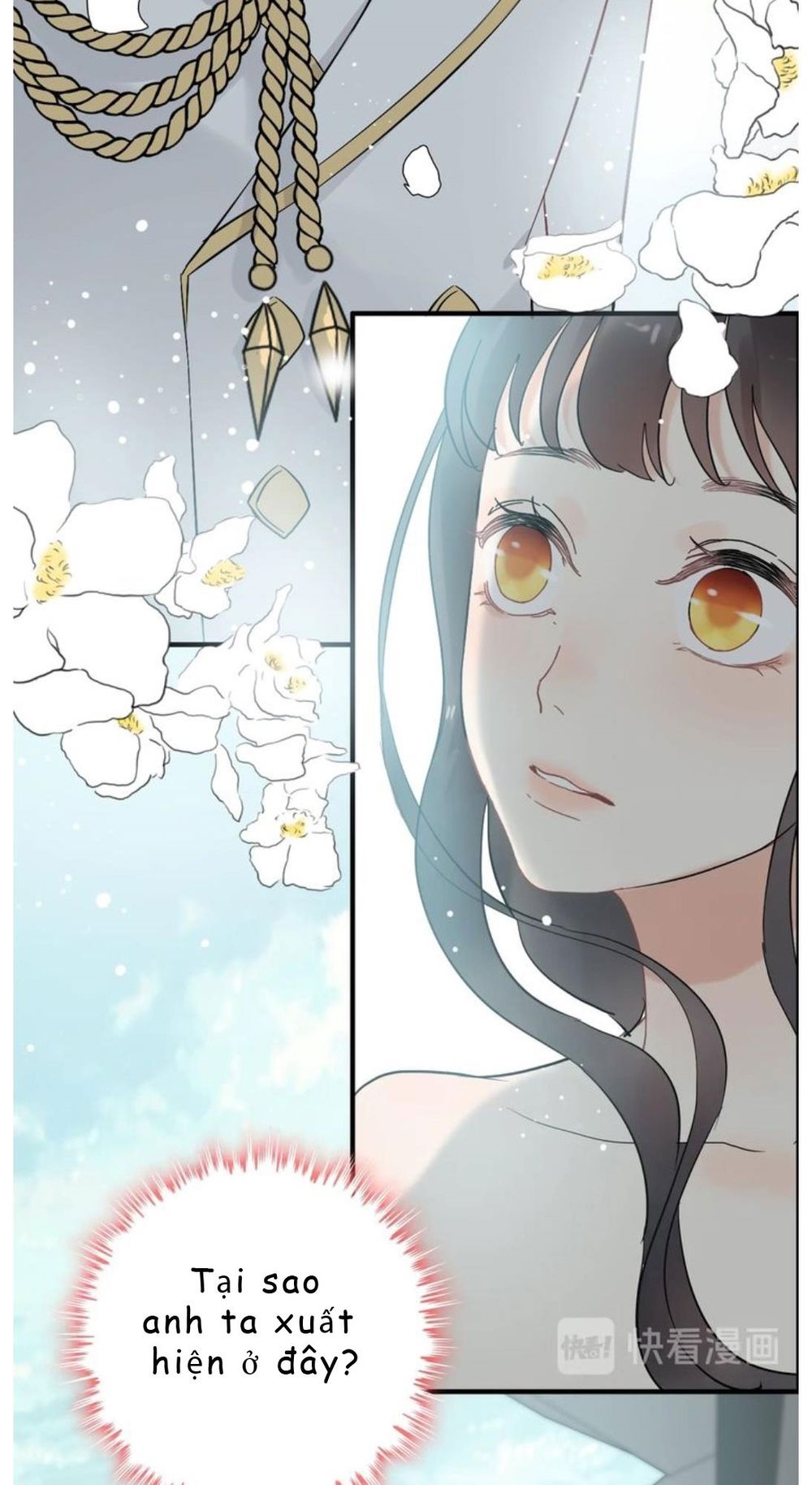 Cô Vợ Hợp Đồng Bỏ Trốn Của Tổng Giám Đốc Chapter 209 - 18