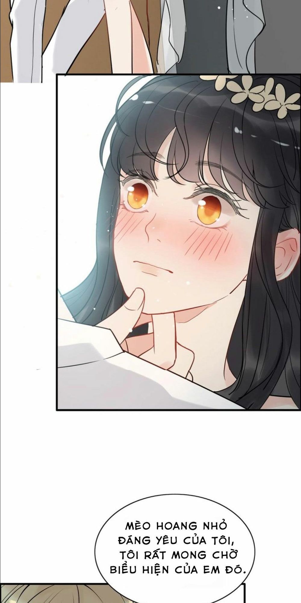 Cô Vợ Hợp Đồng Bỏ Trốn Của Tổng Giám Đốc Chapter 210 - 17