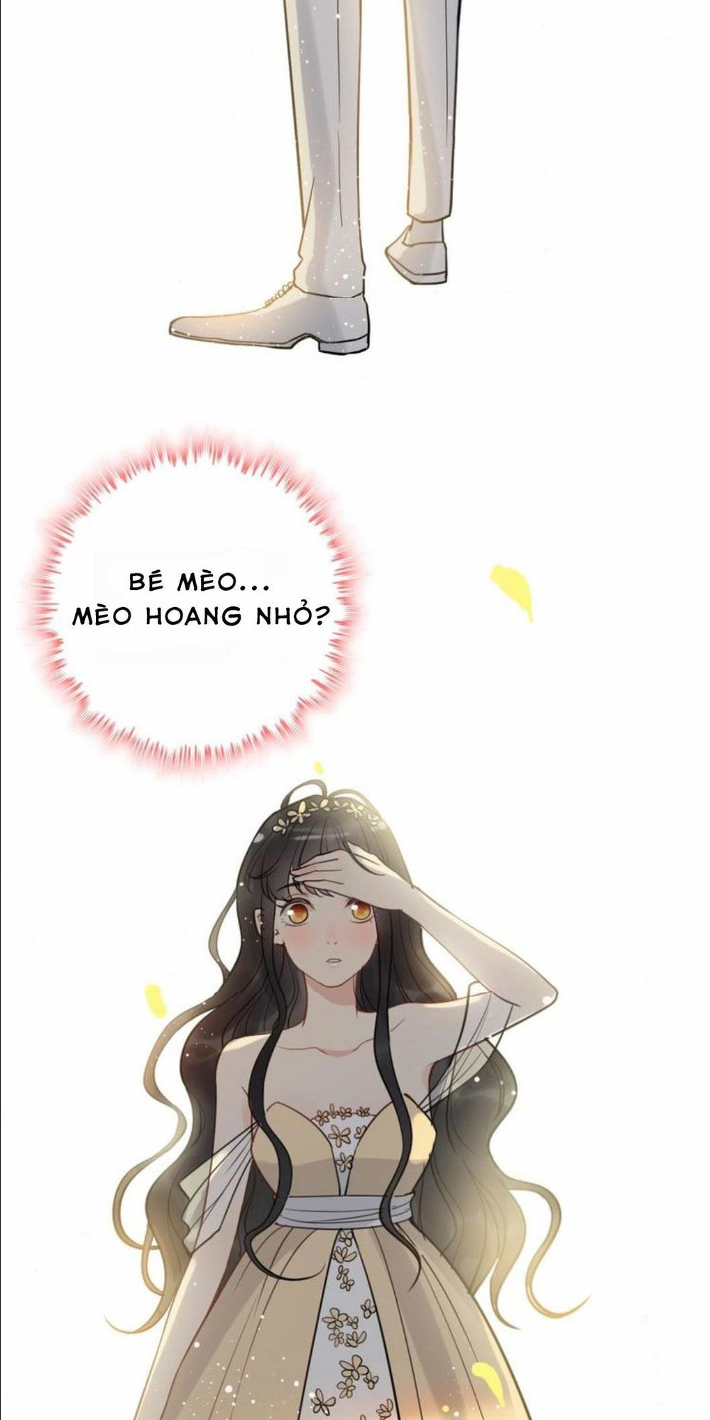 Cô Vợ Hợp Đồng Bỏ Trốn Của Tổng Giám Đốc Chapter 210 - 23