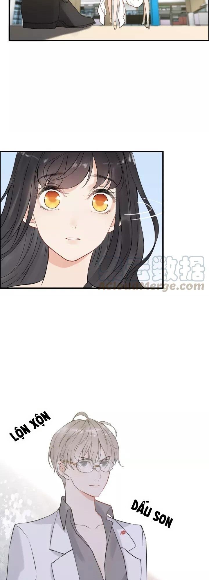 Cô Vợ Hợp Đồng Bỏ Trốn Của Tổng Giám Đốc Chapter 212 - 11