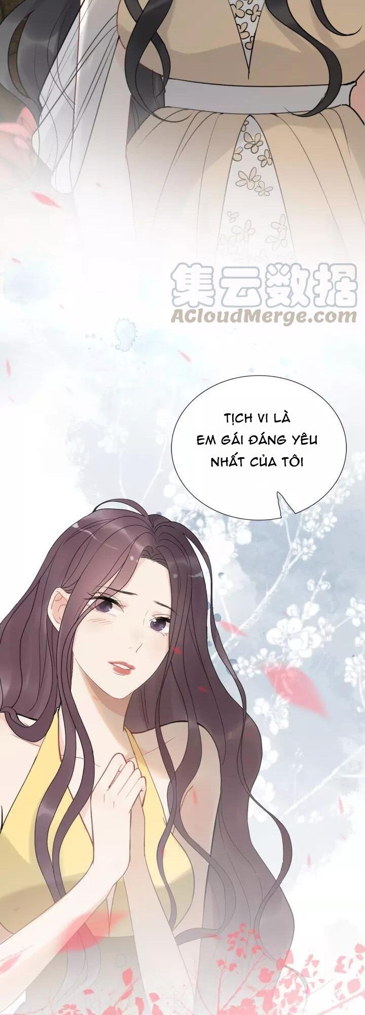 Cô Vợ Hợp Đồng Bỏ Trốn Của Tổng Giám Đốc Chapter 212 - 17