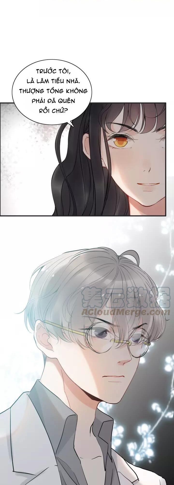 Cô Vợ Hợp Đồng Bỏ Trốn Của Tổng Giám Đốc Chapter 212 - 22