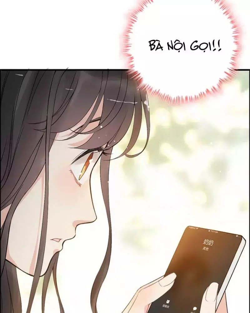 Cô Vợ Hợp Đồng Bỏ Trốn Của Tổng Giám Đốc Chapter 215 - 13