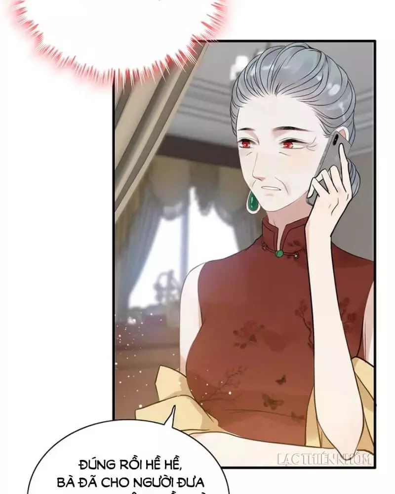 Cô Vợ Hợp Đồng Bỏ Trốn Của Tổng Giám Đốc Chapter 215 - 18