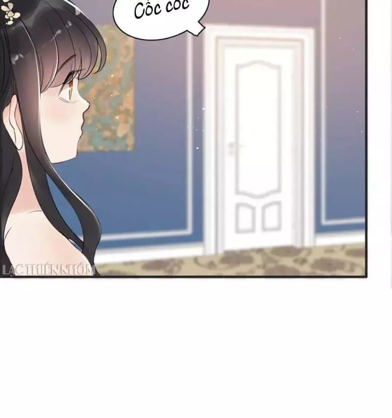 Cô Vợ Hợp Đồng Bỏ Trốn Của Tổng Giám Đốc Chapter 215 - 31