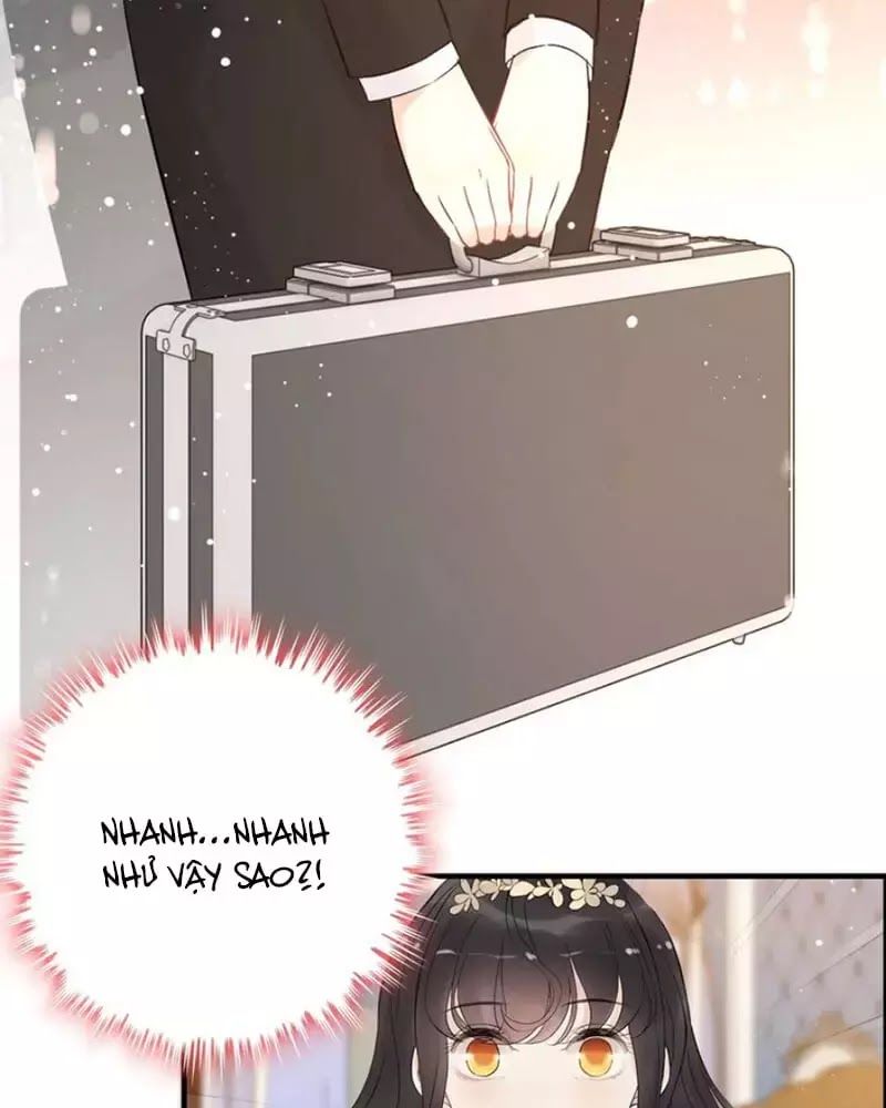 Cô Vợ Hợp Đồng Bỏ Trốn Của Tổng Giám Đốc Chapter 215 - 34