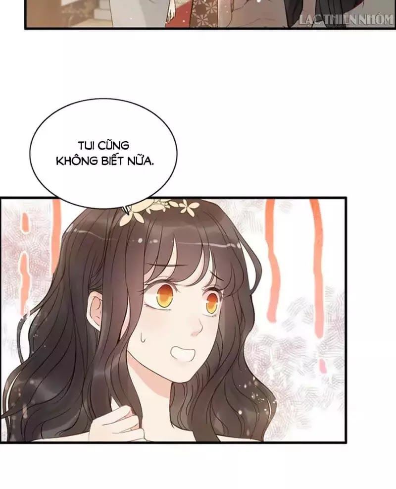 Cô Vợ Hợp Đồng Bỏ Trốn Của Tổng Giám Đốc Chapter 215 - 42