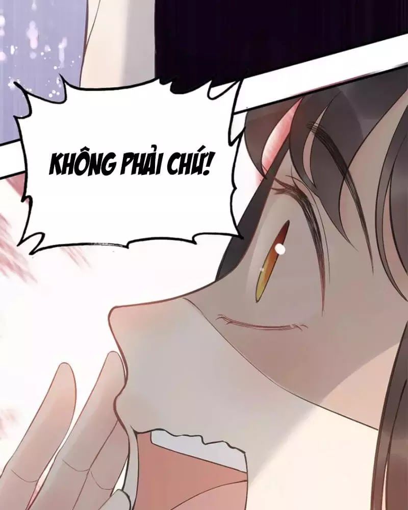 Cô Vợ Hợp Đồng Bỏ Trốn Của Tổng Giám Đốc Chapter 215 - 49