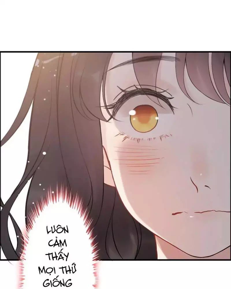 Cô Vợ Hợp Đồng Bỏ Trốn Của Tổng Giám Đốc Chapter 216 - 4