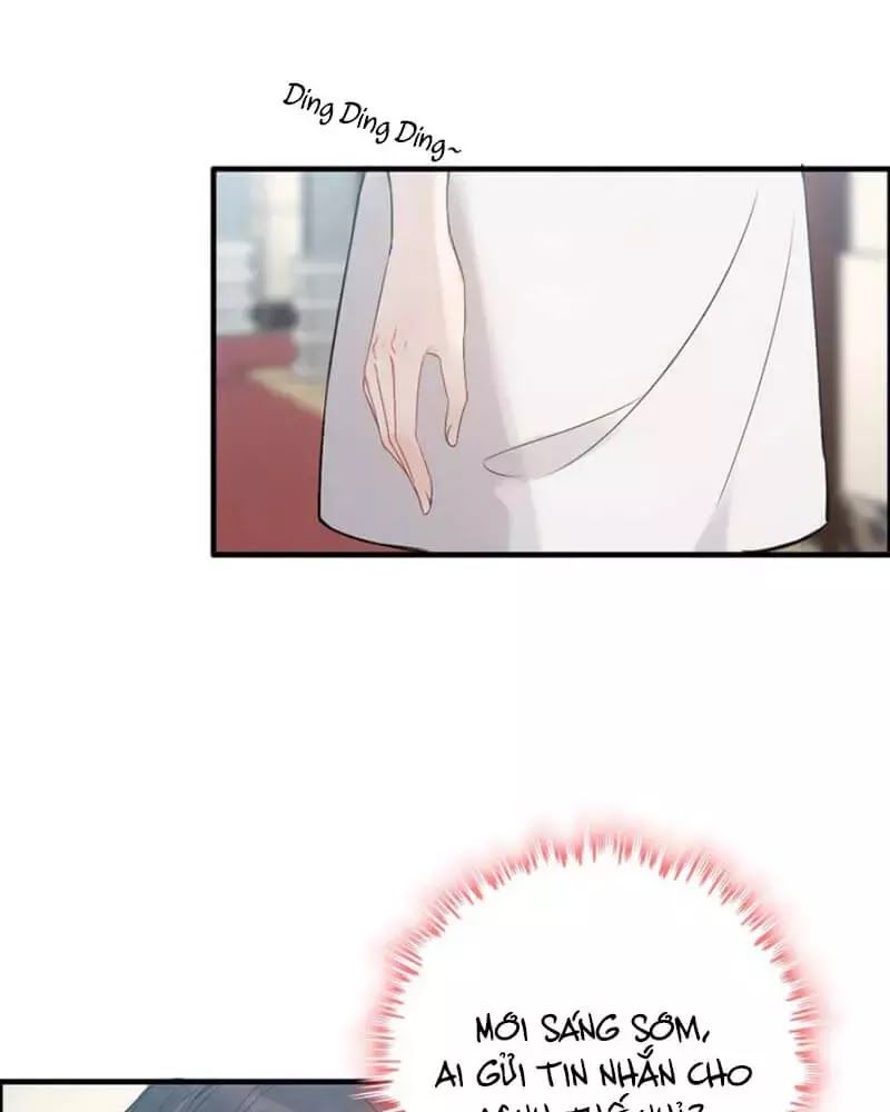Cô Vợ Hợp Đồng Bỏ Trốn Của Tổng Giám Đốc Chapter 216 - 46