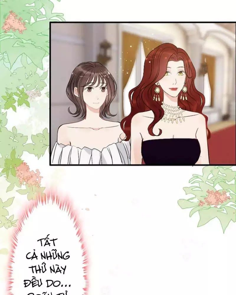 Cô Vợ Hợp Đồng Bỏ Trốn Của Tổng Giám Đốc Chapter 216 - 6