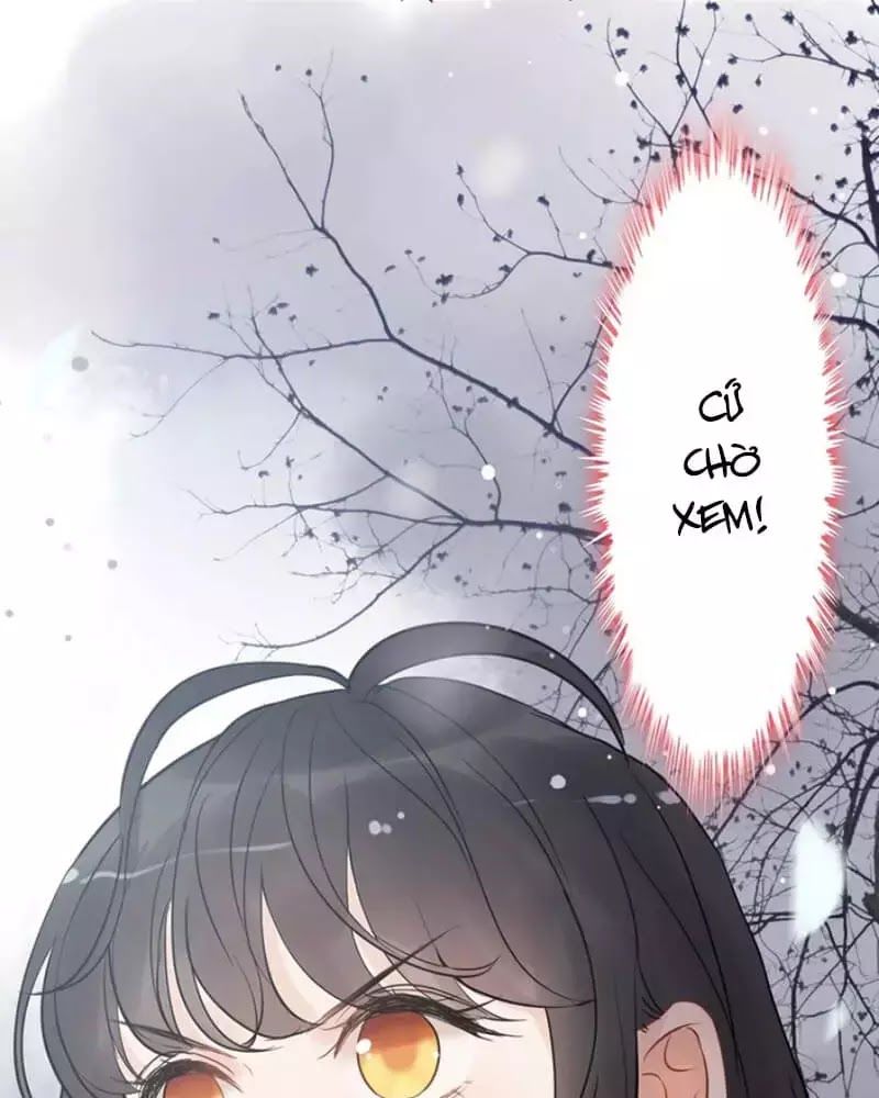 Cô Vợ Hợp Đồng Bỏ Trốn Của Tổng Giám Đốc Chapter 216 - 61