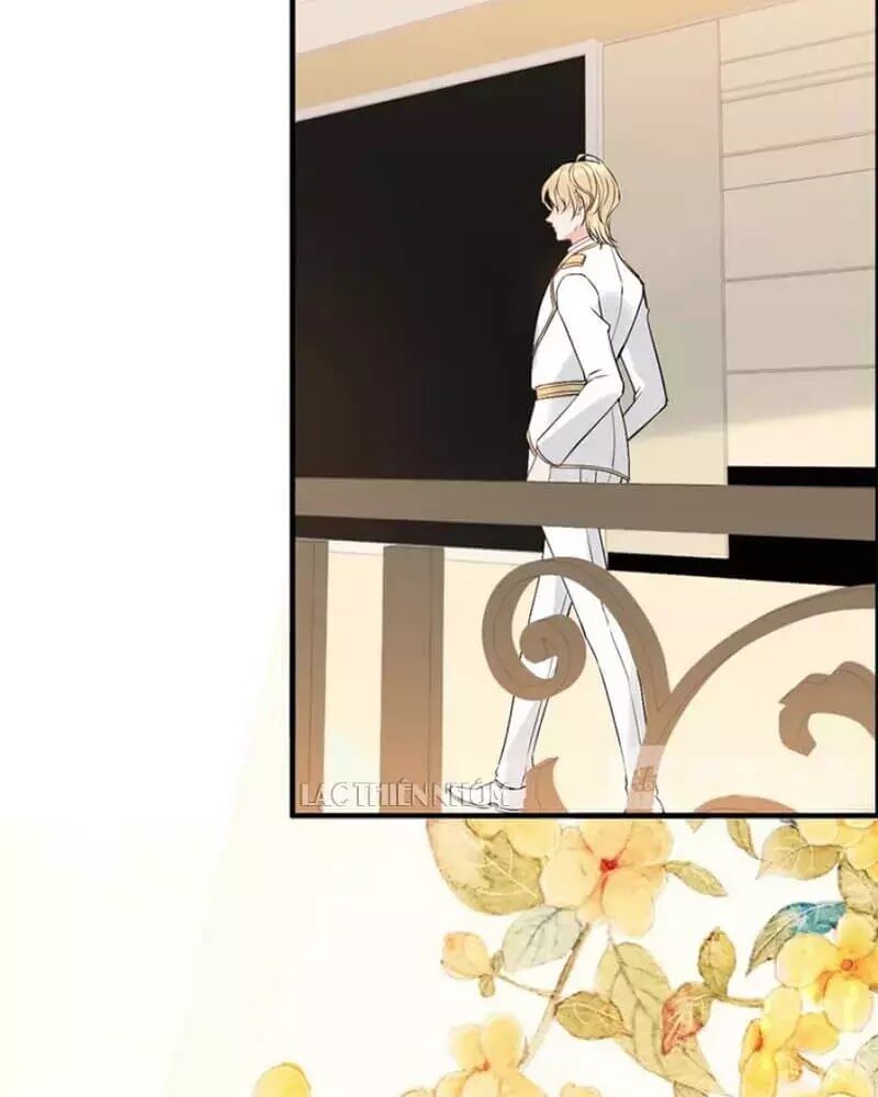 Cô Vợ Hợp Đồng Bỏ Trốn Của Tổng Giám Đốc Chapter 217 - 14